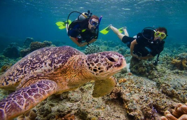 Discover Scuba Diving în Hurghada (fără brevet)