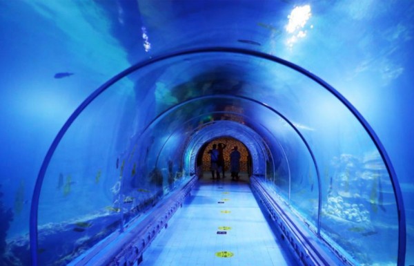 Bilet la Hurghada Grand Aquarium