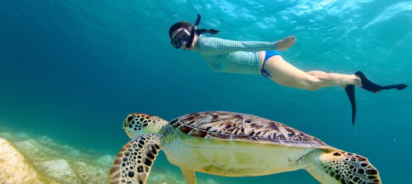 Snorkeling în Hurghada: cele mai bune locuri și cum să o faci bine