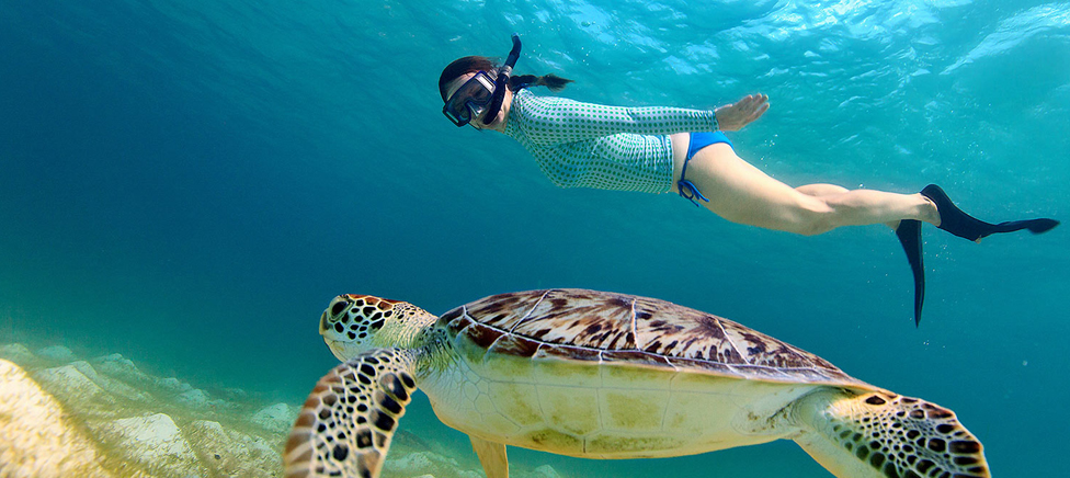 Snorkeling în Hurghada: cele mai bune locuri și cum să o faci bine