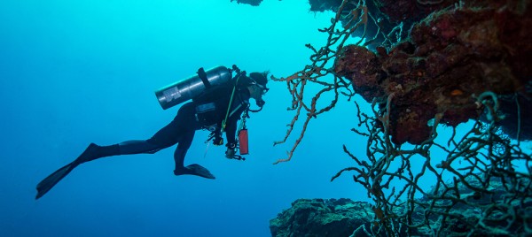 Scufundări în Hurghada: situri, condiții și costuri